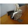 Image 4 : 6" King Island mask with whale, seal (2)