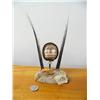 Image 1 : 7" King Island mask with baleen and fossilized ivory bear (2)