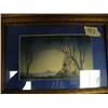 Image 3 : 3 framed steel engravings and 1 shrink wrapped (2)