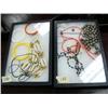 Image 1 : Lot of 2 framed jewelry items- coral, sea pearls, silver baubles (74)