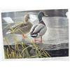 Image 2 : Lot of 4 prints: Robert Bateman 1985 First of Canada duck stamp print 29,187/41,740; 2 chickadee pri