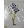 Image 7 : Lot of 9 assorted shrink-wrapped prints (2)