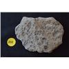 Image 1 : Fossil rock