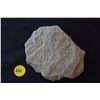 Image 2 : Fossil rock