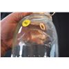 Image 2 : Antique Beaver jar sealer 1 qt