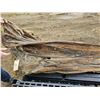 Image 10 : WOW - Huge one-of-a-kind signed Levine Flexhaug 'Flexie' signed painting on driftwood approx 68" lon