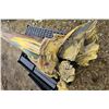 Image 3 : WOW - Huge one-of-a-kind signed Levine Flexhaug 'Flexie' signed painting on driftwood approx 68" lon