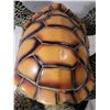 Image 7 : Large sea turtle figurine.