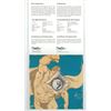 Image 2 : 2015 Superman, Canadian fine silver 20 dollar coin - in folder