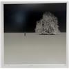 Image 2 : Philippe Mougin France Hivernal Landscape Winter Tree Minimalism