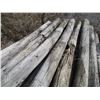 Image 3 : (25) + Used Fence Poles - 6"