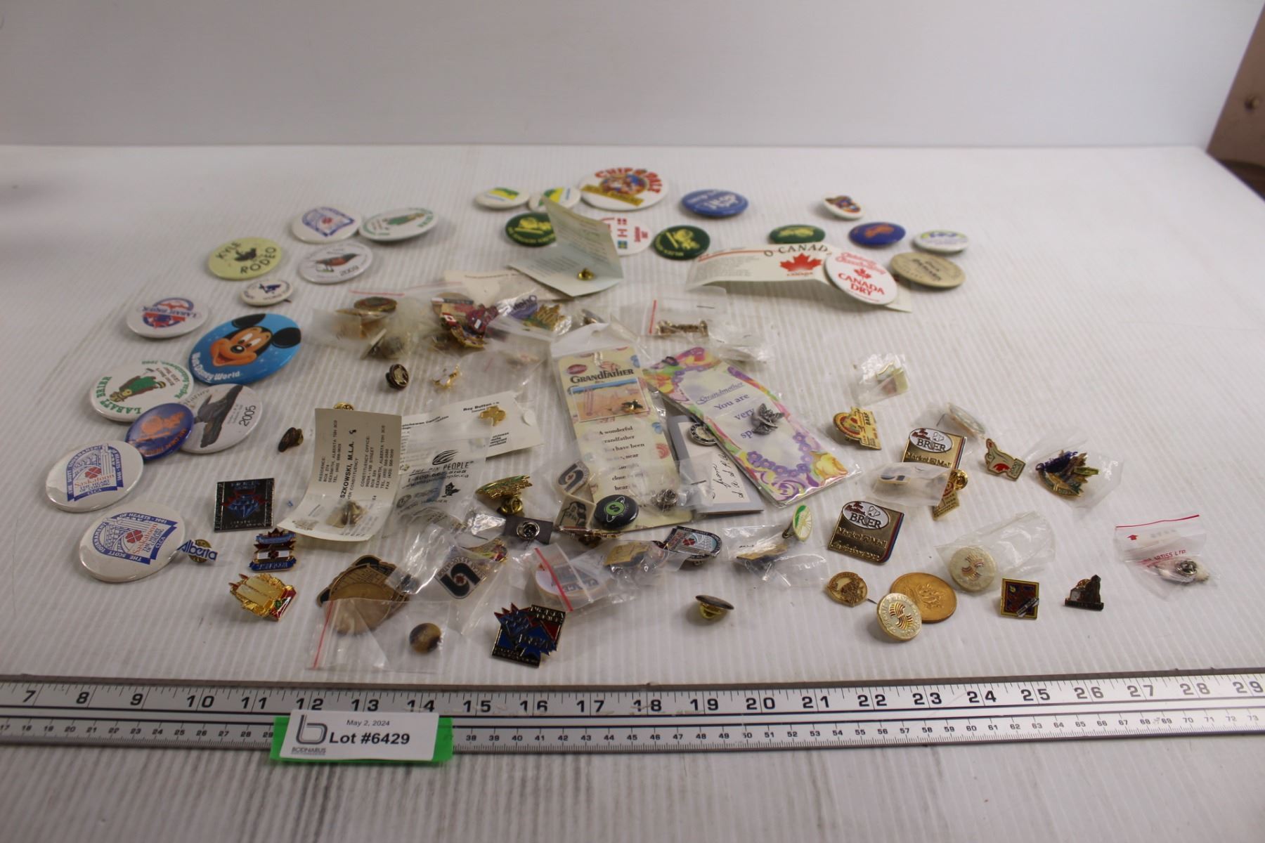 (25+) Assorted Pins and Badges