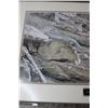 Image 2 : Framed Print - Athabasca Spring - 22" x 33"