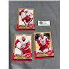 Image 1 : 2008-09 OPC Oversize 4" x 6" Red Wings NHL Cards - Datsyuk, Zetterburg & Lidstrom