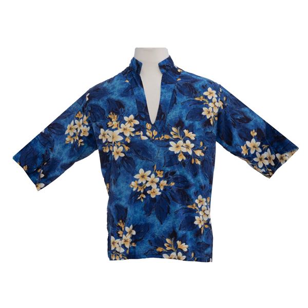 A Disneyland Souvenir Hawaiian Shirt.