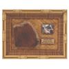 Image 1 : A Disneyland Jungle Cruise Giraffe Skin Segment.