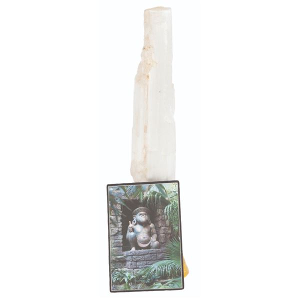 A Jungle Cruise Crystal Prop.