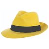 Image 5 : A Disneyland Dick Tracy Cast Member Costume.