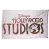 Image 1 : A Disney's Hollywood Studios Flag.