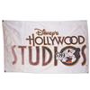 Image 2 : A Disney's Hollywood Studios Flag.
