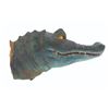 Image 3 : An Emporium Rescuers Window Display Gator Head.