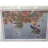 Image 2 : Ducks Unlimited print "Autumn Rain - wood ducks" by David Martin , signed and numbered, some damage 