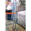 Image 2 : ÉCHELLE 10' FEATHERLITE #3110D