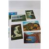 Image 2 : 20+ Vintage Postcards Lot - Washington, Calgary Zoo, Various Canada Locations