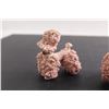 Image 2 : (3) Spaghetti Poodle Figurines