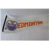 Image 4 : (7) Sports Pennants