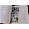 Image 4 : Greatest Grey Cup Ever: 1989 Saskatchewan Roughriders Book/Memorabilia Before, Then & After