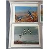 Image 2 : 6 Vintage Allan Brooks Unframed Bird Prints. B.C. Artist