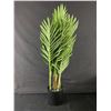 Image 2 : Fopamtri Artifical Plants Majesty Palm 23 inch 2 pack