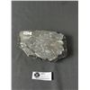 Image 2 : Ammonite Orthoceraas Fossil Plaque Retail $1100.00