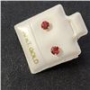 Image 1 : EC679-107 10K RUBY(0.4CT) EARRINGS