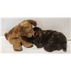 Image 1 : VINTAGE TY CLASSIC BEANIE LARGE PLUSH DOGS- (2)