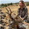 Image 2 : 4 - DAY HUNT FOR 2 HUNTERS IN SPAIN INCLUDING 2 MOUFLON SHEEP, OR 2 RED STAG OR 2 ROE DEER