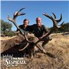 Image 6 : 4 - DAY HUNT FOR 2 HUNTERS IN SPAIN INCLUDING 2 MOUFLON SHEEP, OR 2 RED STAG OR 2 ROE DEER
