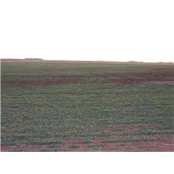 The E/2 of the NE/4 of Sec. 12, Twp. 16 N., R7 W.I.M., Kingfisher Co., OK.