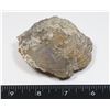 Image 1 : MEDIUM ROUGH CLAM SHELL FOSSIL GEOLOGICAL SAMPLE