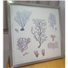 Image 1 : Framed Coral Artwork 25"x25"