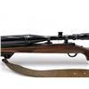 Image 4 : Ruger M77 Bolt Action Rifle 243 Win 24" Heavy Barrel Wood Stock W/ Bipod And Tasco 6-12X44 Scope