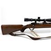 Image 8 : Ruger M77 Bolt Action Rifle 243 Win 24" Heavy Barrel Wood Stock W/ Bipod And Tasco 6-12X44 Scope