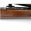 Image 9 : Ruger M77 Bolt Action Rifle 243 Win 24" Heavy Barrel Wood Stock W/ Bipod And Tasco 6-12X44 Scope