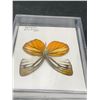 Image 2 : Lot of 2 Pinned Butterflies