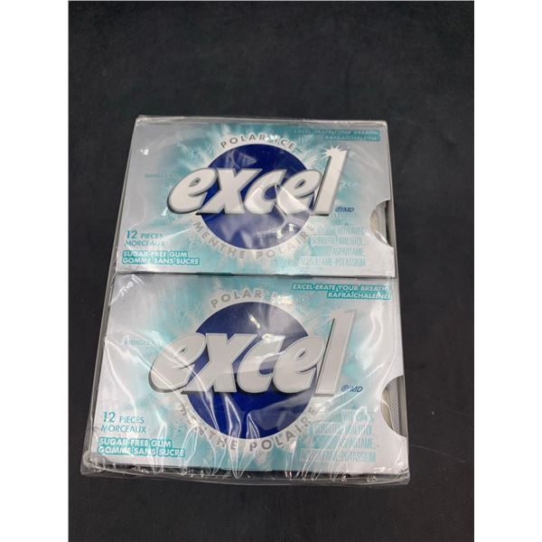 Excel Polar Ice Gum (12 x 12)
