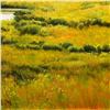 Image 2 : Meadow by the River by Prischepa Original