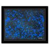 Image 1 : Untitled by Wyland Original
