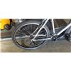 Image 2 : SILVER PAINTED NO NAME BIKE
