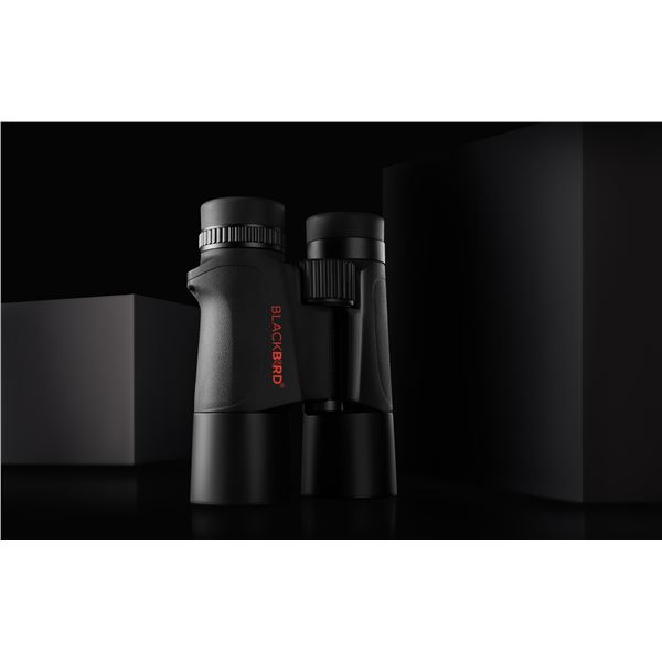 HD 10 x 42 Binocular